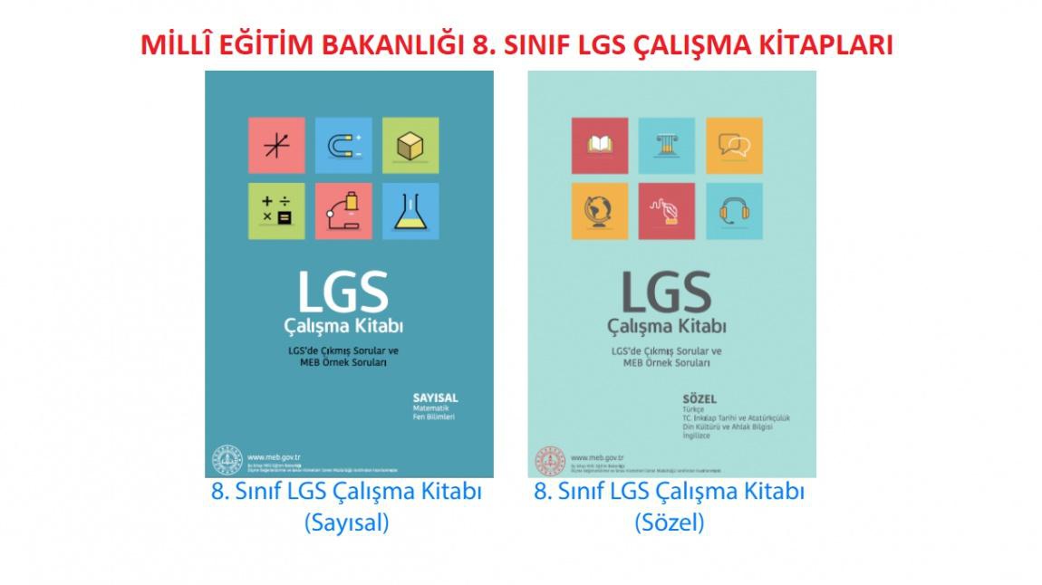 LGS Çalışma Kitapları MEB'den, Çalışmak Sizden